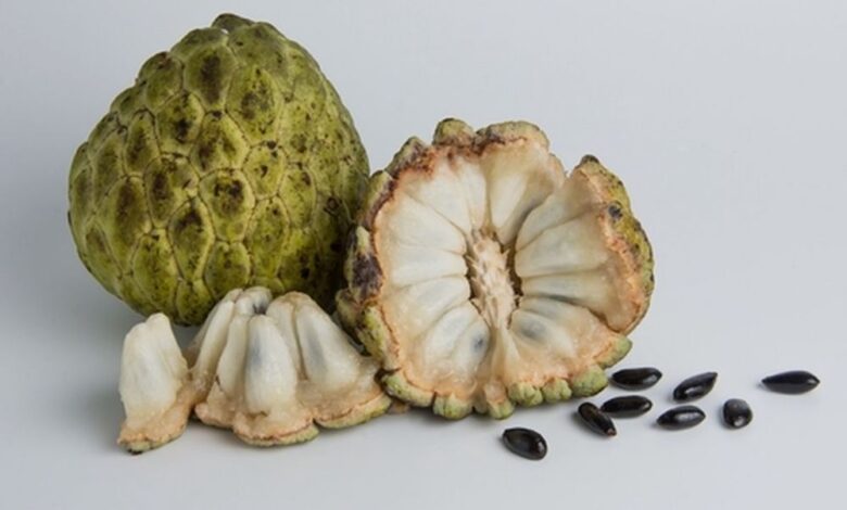 Buah Apa yang Tajir