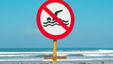 Larangan di Pantai dalam Bahasa Inggris