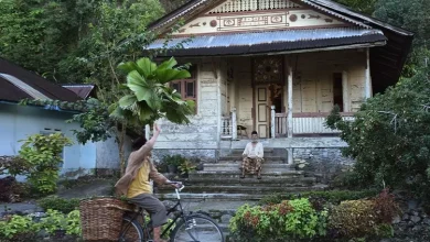 Contoh Sikap Toleransi di Lingkungan Masyarakat