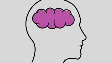 Langkah Pertama dalam Metode Ilmiah Adalah