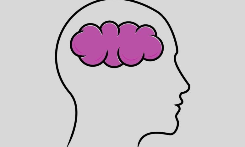 Langkah Pertama dalam Metode Ilmiah Adalah